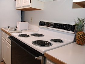 DSC_1040.jpg