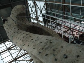 DSC_1995.jpg