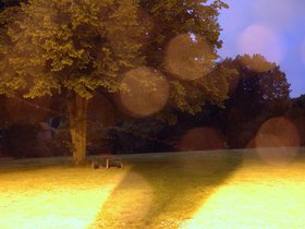 DSC_2091.jpg