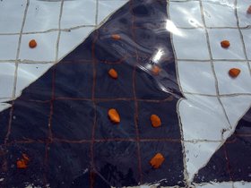 DSC_2158.jpg