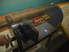 DSC_7832.jpg
